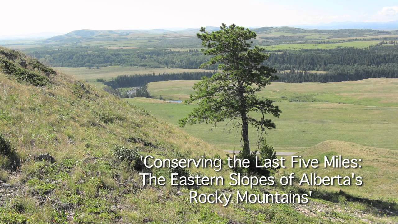 Larry Simpson - Conserving the Last Five Miles: The Eastern Slopes of ...