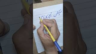 Zulfiqar Ali Shah Calligraphy Teacher