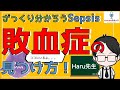 【ザックリ理解！】敗血症見つけ方！全看護師に必須の知識。感染症と敗血症の違いは？