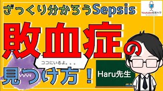 【ザックリ理解！】敗血症見つけ方！全看護師に必須の知識。感染症と敗血症の違いは？