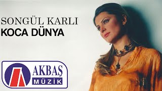 Songül Karlı | Koca Dünya Resimi