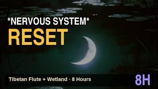 **NERVOUS SYSTEM RESET** | Tibetan Flute + Wetland Night 8 Hours | Vagus Nerve Sound Bath