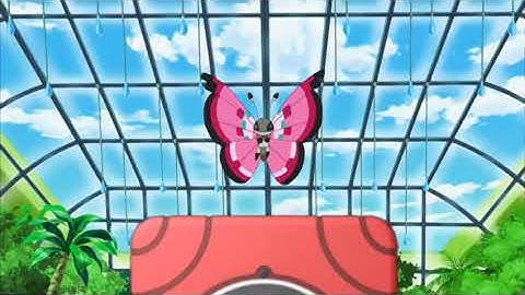 Pokémon XY Vivillon Pokedex Data