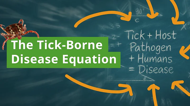 Understanding Tick-Borne Diseases: The Tick Equation Explained