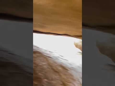 دان روعه ولاليت عندي خبر ولا شووووقي إني دريت