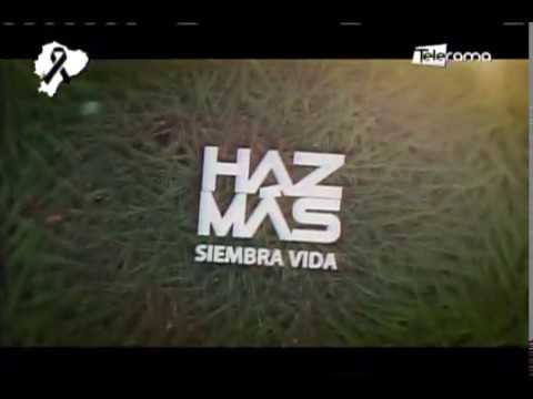 American Airlines apoyó actividad de reforestación más grande de Ecuador