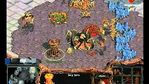 G2 Hydra vs Crazy Hydra @ Stars vs Entus Game 2