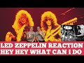 Led Zeppelin Reaction - Hey Hey What Can I Do!