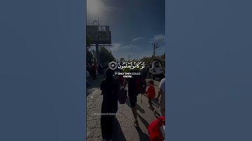 القارئ 🎙️: #احمد_النفيس ‏‎السورة 📖 النحل