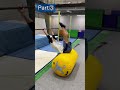 『蹴上がり』練習方法5選❗️#shorts #gymnastics #acrobatics #体操 #鉄棒
