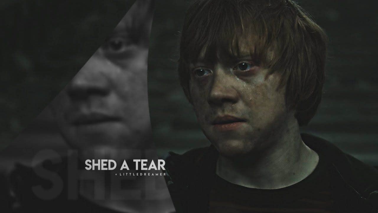 Harry Potter Tear Away Desk Calendar Harry Potter Tear Away Desk Calendar