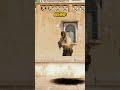 HIGH IQ BOX FLASH ON DUST 2 #shorts #cs2