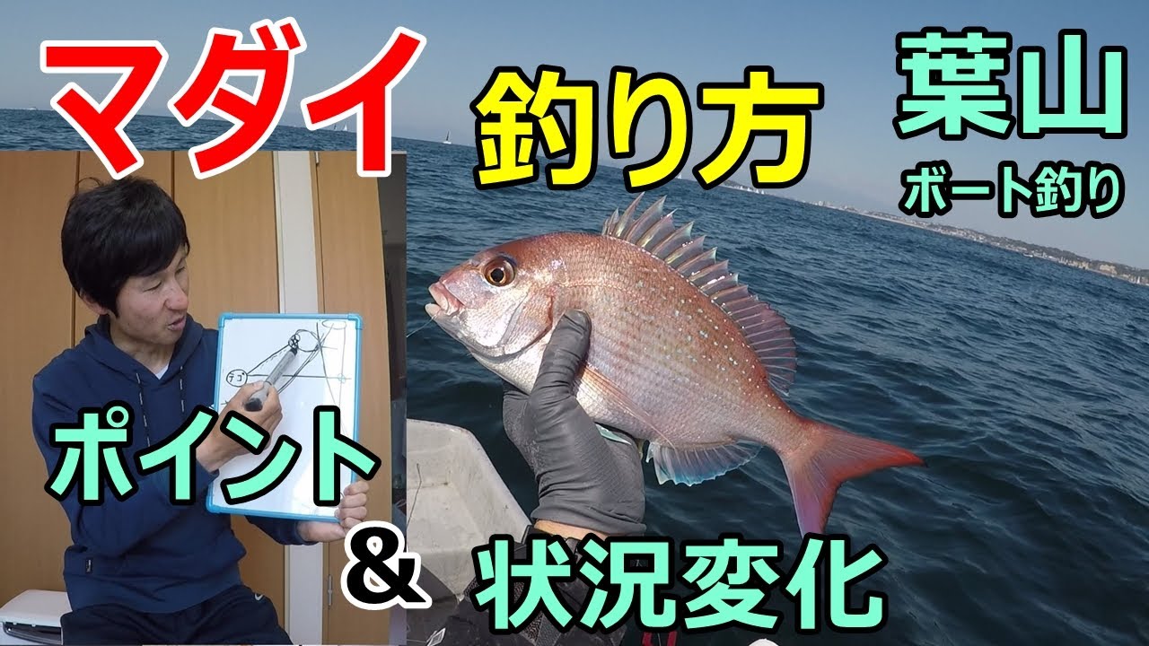 ２０２１年春の葉山乗っ込みマダイは小休止か なんとかクロダイをゲットしました ｇｗに向けてマダイの釣り方も解説です Youtube