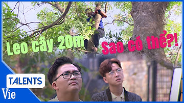 "Vua khỉ miền Tây" Thanh Tùng leo cây chuyển cành 20m giữa trời nắng nóng | Siêu Thử Thách