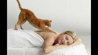 ПОЧЕМУ КОШКИ ТОПЧУТ ВАС ЛАПКАМИ И УРЧАТ? ПОЧЕМУ КОШКИ ТОПЧУТ ВАС ЛАПКАМИ И УРЧАТ?