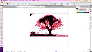 Adobe Illustrator CS4 - Introduction to Live Paint