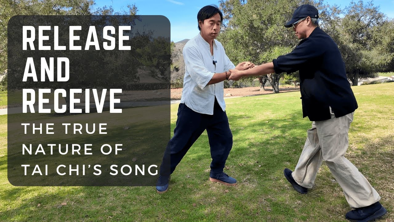 Освобождение и принятие: истинная природа песни тайцзи полностью раскрыта