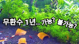 1년 걸렸습니다. 무환수논쟁 결론을 내겠습니다.