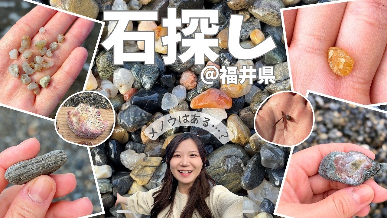 【石観察】福井の海岸で石ころ探し！メノウは見つかるのか？
