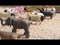 Learning name of Animals - Video for Babies and Kids - Anak Baik -
