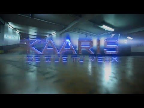 Kaaris - Ce que tu veux