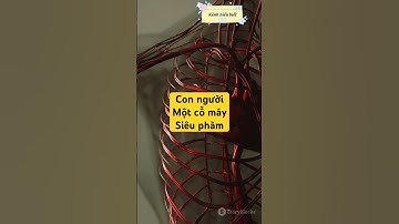 Con người - Một cỗ máy siêu phàm! #khoahoc #facts #khampha #kienthuc #giaitri
