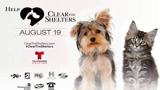 Clear the Shelters