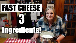 EASY Farmer's Cheese - Substitute for Ricotta Cheese   10 add-in recipes