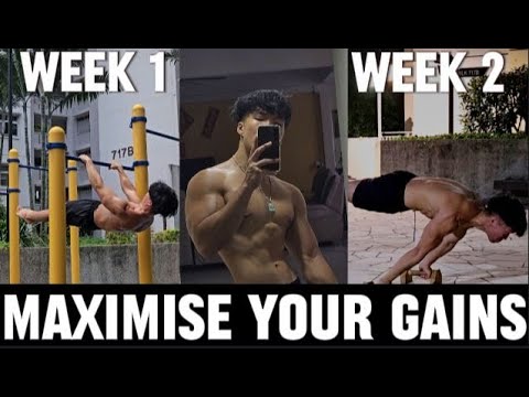 How to PROGRAM your CALISTHENICS training for the FASTEST growth