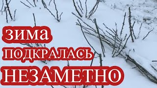 видео: УКРЫВАТЬ или НЕ УКРЫВАТЬ, вот в чём вопрос. картинка: УКРЫВАТЬ или НЕ УКРЫВАТЬ, вот в чём вопрос.