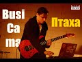 Busicama - Птаха