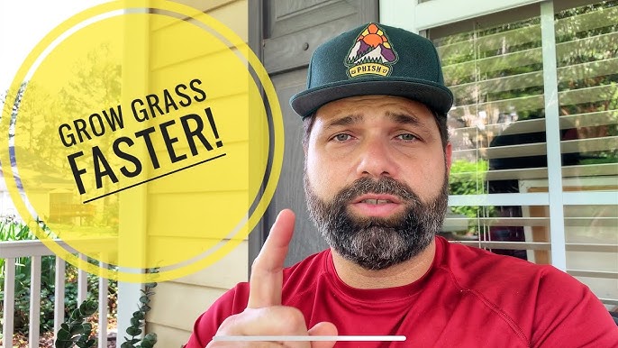 How Can I Make My St Augustine Grow Faster?: Quick Tips