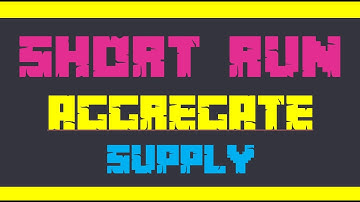 The Short Run Aggregate Supply Curve