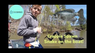 Shallow Crappie Lake Norman