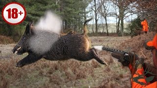 ОХОТА НА КАБАНА. И такое бывает.... кабаны в бронежилете. WILD BOAR HUNTING ОХОТА НА КАБАНА. И такое бывает.... кабаны в бронежилете. WILD BOAR HUNTING