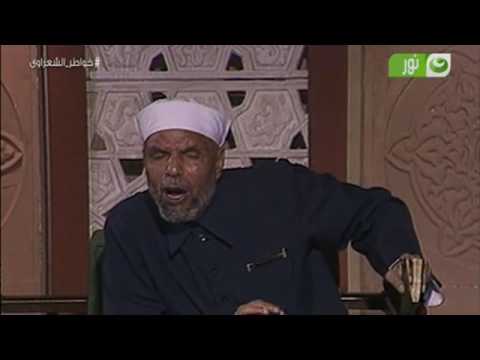 خواطر الشعراوي استخلف الله الإنسان في الأرض وسخر له كل شيء وجعل الملائكة في عونه