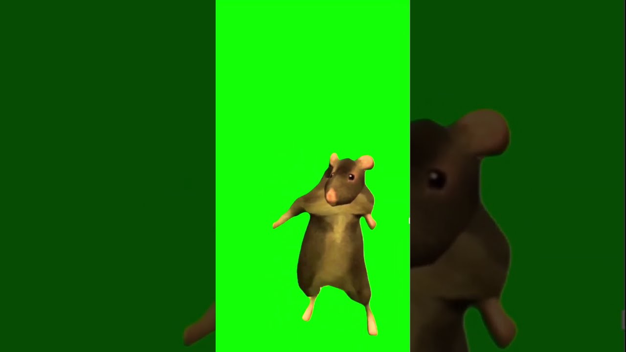 Dancing Mouse Fyp J B Dance
