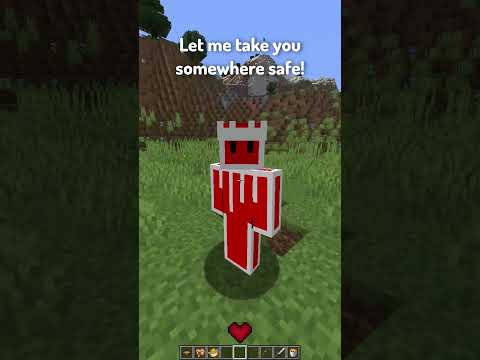 Best Types of Players in Minecraft