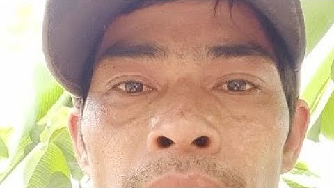 Cá Lóc Nướng Bẹ Chuối