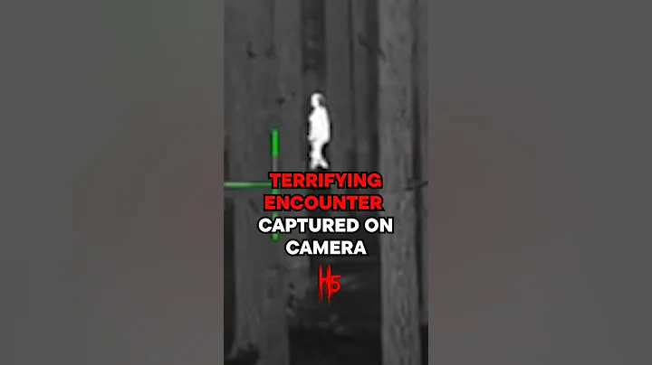 TERRIFYING ENCOUNTER Captured on camera!? 😱 #scary #shorts #ghost