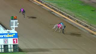 GEL TUE 01 AUG 23 ST2