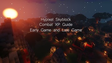 Hypixel Skyblock : Combat XP Guide Early Game - End Game