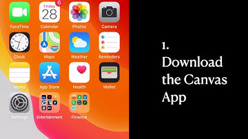 Canvas: Creating an Observer Account with the Canvas App