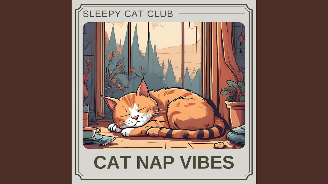 Ver Deep Sleep for Cats en YouTube