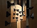 STRINGS SHOP PREVIEW : FODERA YIN YANG 5 STANDARD - BLISTER MAPLE