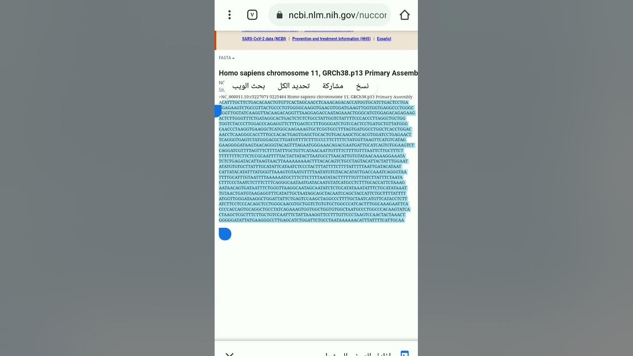 تصميم البرايمرات بأستخدام برنامج primer 3 plus YouTube
