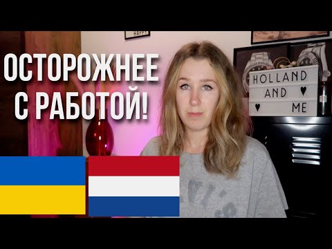 Эксплуатация украинских беженцев в Нидерландах. Как избежать проблем с работой?