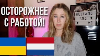 Эксплуатация украинских беженцев в Нидерландах. Как избежать проблем с работой?