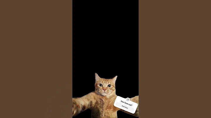 Uia uia uia uia uia uiaa uiaa uia uiaa #uia #funny #games #memes #cat