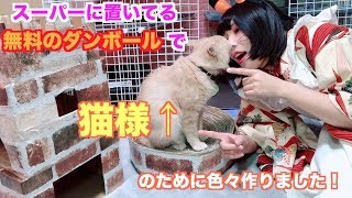 ０円のダンボールで猫さまにお城と爪とぎを作る方法！【DIY】
